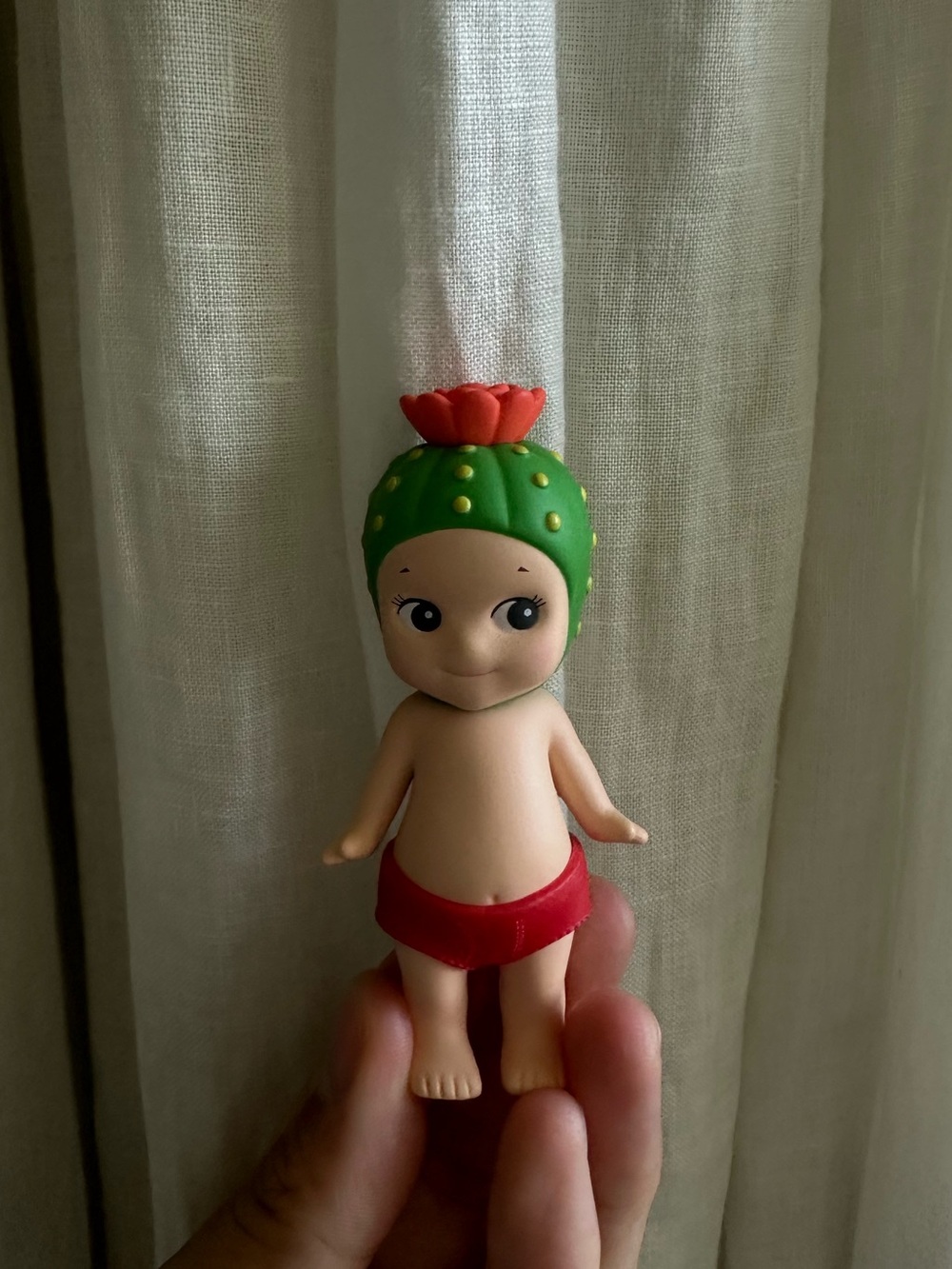 sonny angel cactus figure